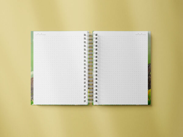 caderno personalizado A5 - pascoa - coelhos com ovos coloridos - miolo pontilhado